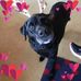 Tracey Keeling - Facebook