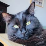 Tracey Keeling - @raceyt69 - Instagram