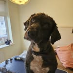 Tracy Keeling - @tracy.keeling.507 - Instagram