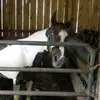 Tracie Keller - @traciekeller3 - TikTok