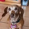 Tracey Knott - @tracey.knott6 - TikTok
