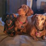 Tracey Knott - @tracey.knott - Instagram