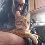 Tracy Koehler - @wednesdayfrankenstein - Instagram