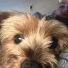 Tracy Koehler - @user114777427 - TikTok