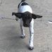 Trace Landers - Facebook