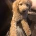 Tracey Lewin - Facebook