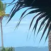 logan tracey - @logan.tracey02 - TikTok
