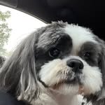 Tracey Maclean - @traceymac1969 - Instagram