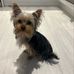 Tracey Magee - Facebook