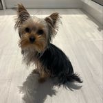 Tracey Magee - @traceymagee - Instagram
