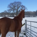Tracey Mahoney - @tracey.mahoney.64 - Instagram