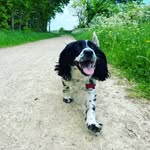 Tracey - @traceymajor6 - Instagram