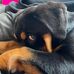 Tracey Malcolm - Facebook