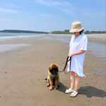 Tracey - @traceymalcolmnovascotia - Instagram