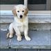 Tracey-Marley Warne - Facebook