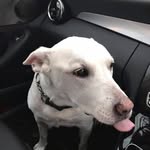 Tracey Platt-Marley - @tracey_platt - Instagram
