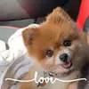 Tracey May - @user633828551 - TikTok