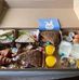 Tracey Cipriano Mazur - Facebook