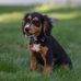 Tracy Mazur - Facebook