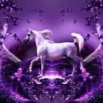 Tracey McConnell - @mcconnell_tracey - Instagram