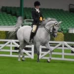 tracey mcconnell comp ponies - @mcconnelltracey - Instagram