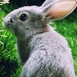 Tracey Mcfadden - @mcfadden.tracey - Instagram