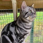Tracey Mead - @knappsfarm - Instagram