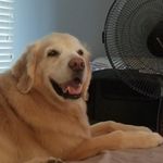 traceymeier#hotmail.com - @traceymeierhotmail.com7 - Instagram