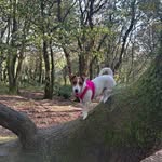Tracey Mellor - @tracey.mellor66 - Instagram