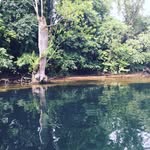 Trace Messick - @tracermessick - Instagram