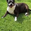 Tracey Middleton - @tracey.middleton4 - TikTok