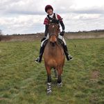 Tracey Middleton - @traceymiddleton7 - Instagram