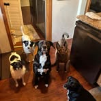 Tracey Mooney - Facebook