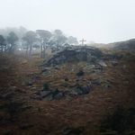 Tracey Mooney Littleton - @moonlit.4 - Instagram