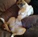 Tracey Nash - Facebook