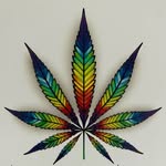 Tracey Nash - @tracielove664 - Instagram
