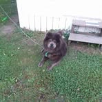 Tracey Oakes - Facebook
