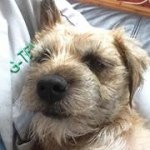 Tracey Oakes - @toby1964 - Instagram