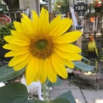 Tracey Lynn O'Bryan Tackett - @obryantackett - Instagram