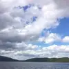 Tracey Oneill - @bucketthebest - TikTok