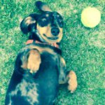 Tracey Orr - @traceyo1973 - Instagram