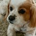 Tracey Pace - Facebook