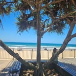 Tracey Pace - @traceylpace - Instagram