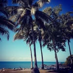 Tracey Pace - @winter_1429 - Instagram