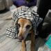 Tracey Pace - Facebook