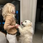 Tracey Pappas - @pappas_tracey - Instagram