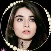 نوارس - @parrtracey - TikTok