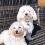 Tracey Parr - @t.parr123 - Instagram