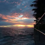 @traceyparr37y67 - Instagram