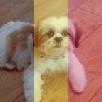 Tracey Parry - @parry_tracey - Instagram